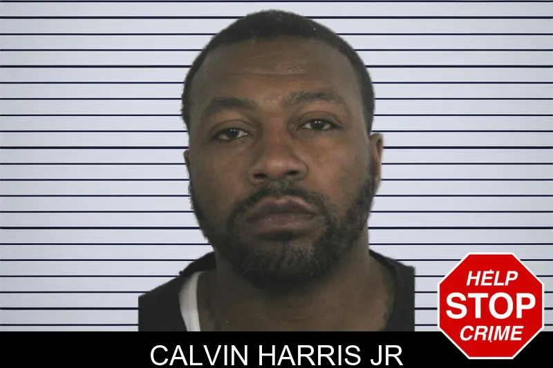 Calvin Harris Jr mugshot
