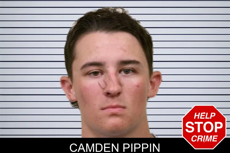 Camden Pippin mugshot