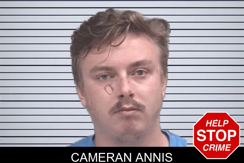 Cameran Annis mugshot