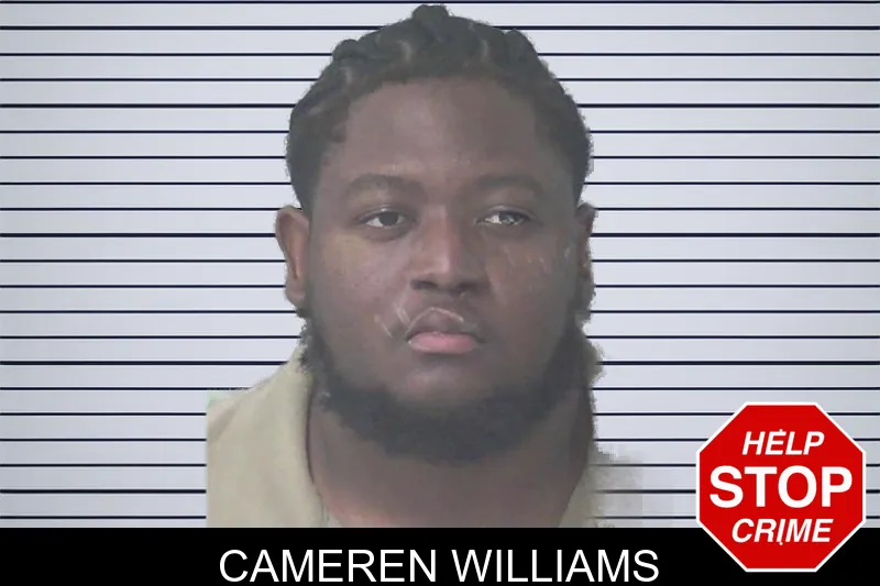 Cameren Williams mugshot