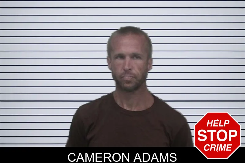 Cameron Adams mugshot