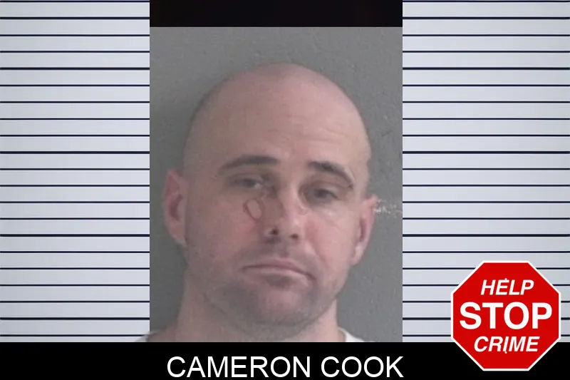 Cameron Cook mugshot