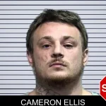 Cameron Ellis mugshot – Effingham County , Georgia Cameron Ellis mugshot