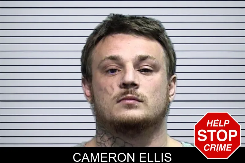 Cameron Ellis mugshot