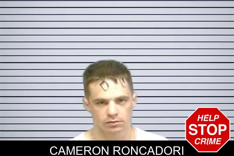 Cameron Roncadori mugshot – Fulton County , Georgia Cameron Roncadori mugshot