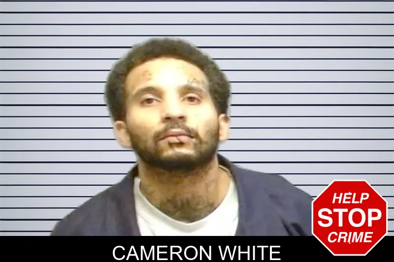 Cameron White mugshot