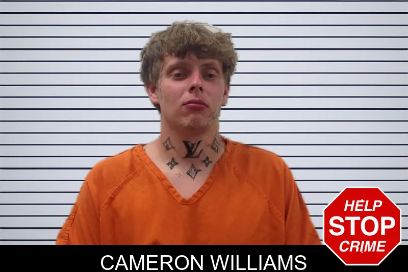 Cameron Williams mugshot – Pickens County , Georgia Cameron Williams mugshot