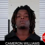 Cameron Williams mugshot – Liberty County , Georgia Cameron Williams mugshot