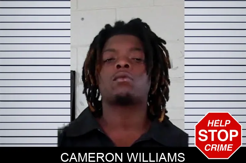 Cameron Williams mugshot – Liberty County , Georgia Cameron Williams mugshot