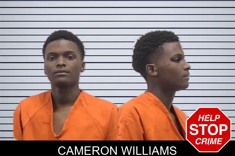 Cameron Williams mugshot