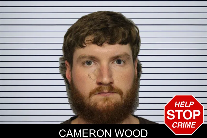 Cameron Wood mugshot – Hall County , Georgia Cameron Wood mugshot