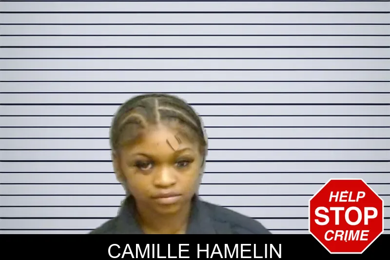 Camille Hamelin mugshot