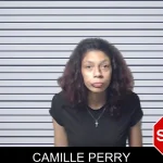 Camille Perry mugshot – DeKalb County , Georgia Camille Perry mugshot