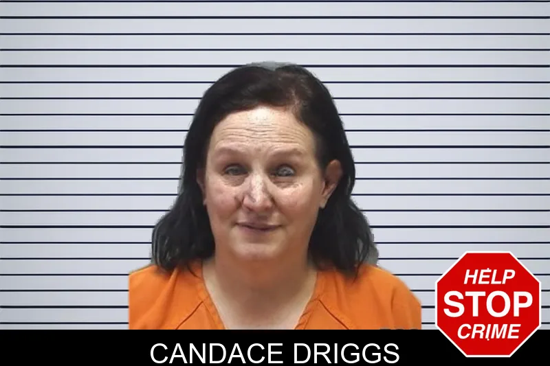 Candace Driggs mugshot – Cherokee County , Georgia Candace Driggs mugshot