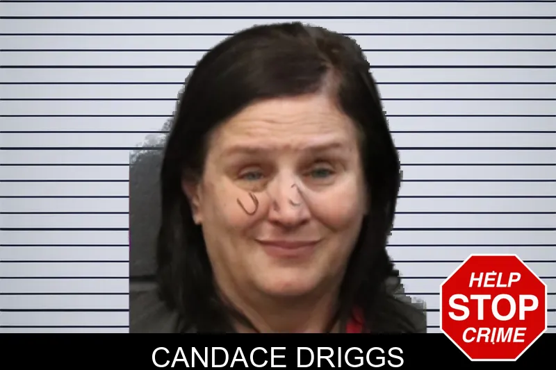 Candace Driggs mugshot – Forsyth County , Georgia Candace Driggs mugshot