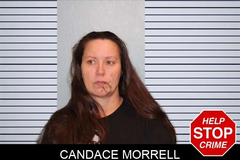 Candace Morrell mugshot