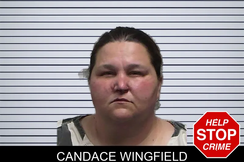 Candace Wingfield mugshot – Tift County , Georgia Candace Wingfield mugshot