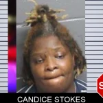 Candice Stokes mugshot – Bacon County , Georgia Candice Stokes mugshot