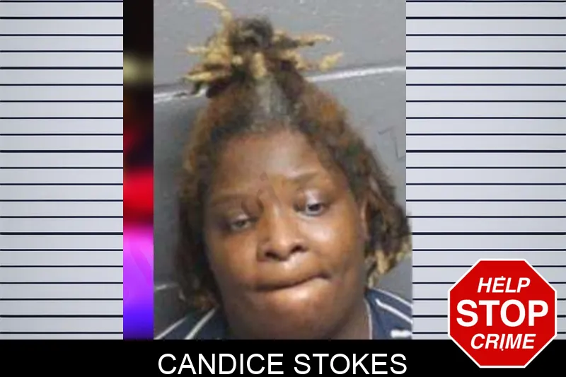 Candice Stokes mugshot – Bacon County , Georgia Candice Stokes mugshot