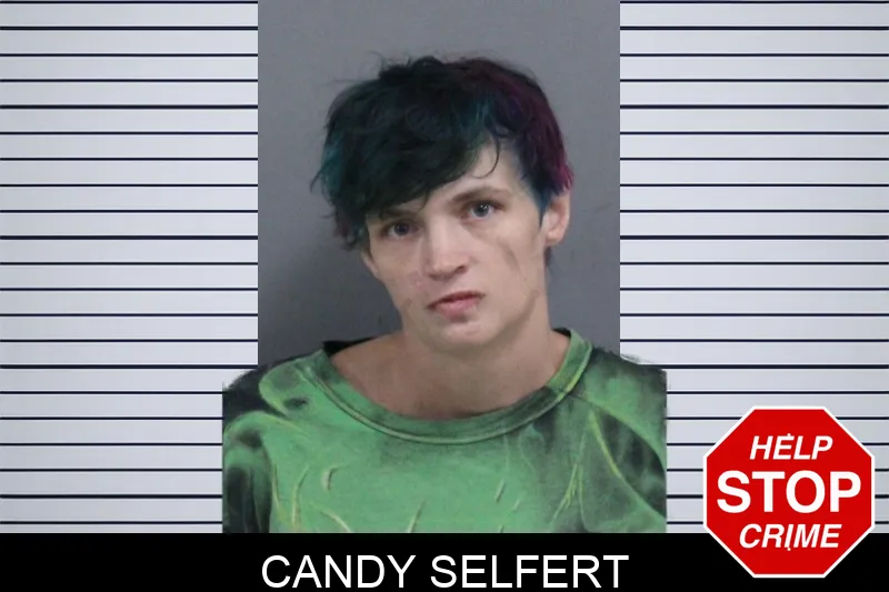 Candy Selfert mugshot – Catoosa County , Georgia Candy Selfert mugshot