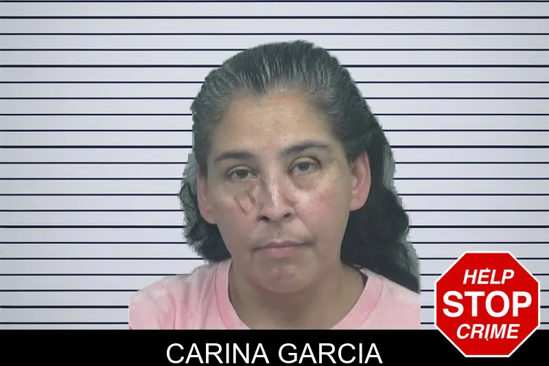 Carina Garcia mugshot – Gwinnett County , Georgia Carina Garcia mugshot