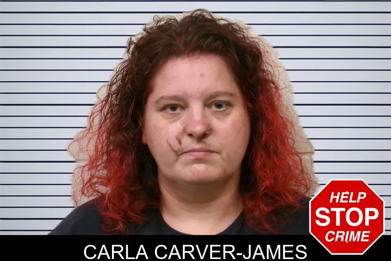 Carla Carver-James mugshot – Bulloch County , Georgia Carla Carver-James mugshot
