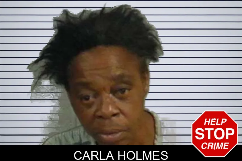 Carla Holmes mugshot – Upson County , Georgia Carla Holmes mugshot