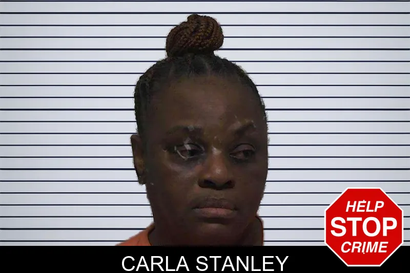 Carla Stanley mugshot – Laurens County , Georgia Carla Stanley mugshot