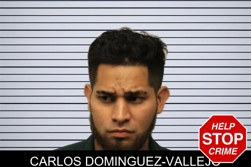 Carlos Dominguez-Vallejo mugshot