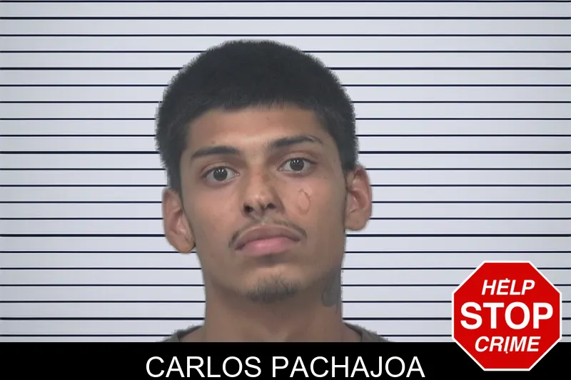 Carlos Pachajoa mugshot