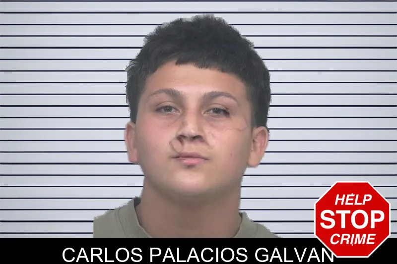 Carlos Palacios Galvan mugshot – Gwinnett County , Georgia Carlos Palacios Galvan mugshot