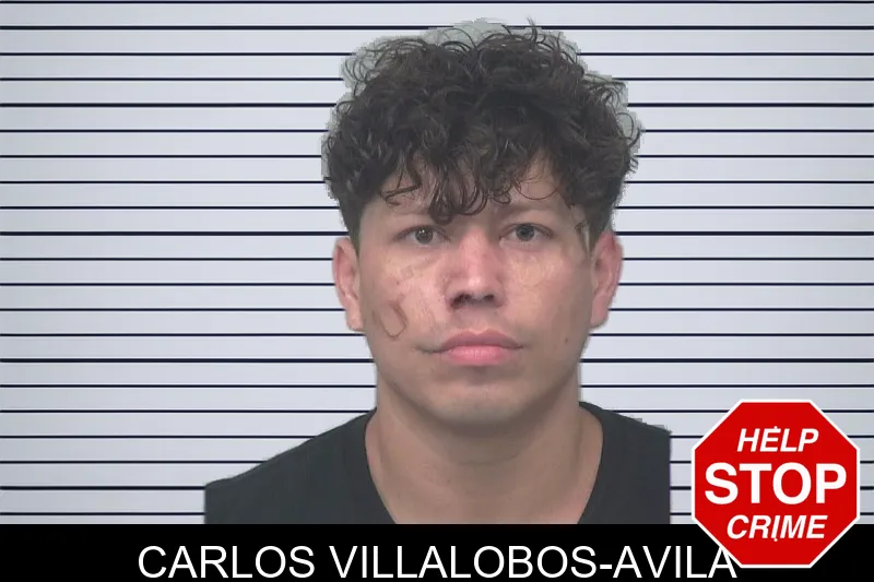 Carlos Villalobos-Avila mugshot – Gwinnett County , Georgia Carlos Villalobos-Avila mugshot