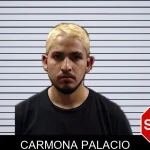 Carmona Palacio mugshot