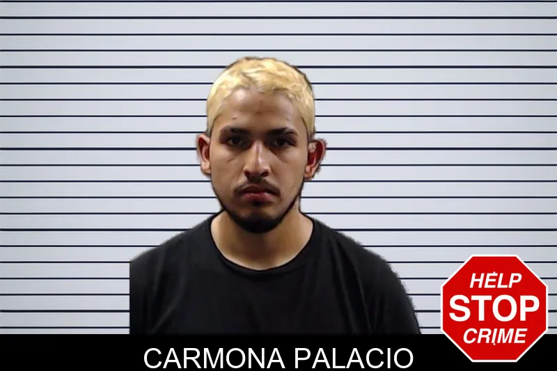 Carmona Palacio mugshot