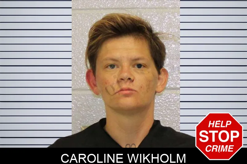 Caroline Wikholm mugshot – Carroll County , Georgia Caroline Wikholm mugshot