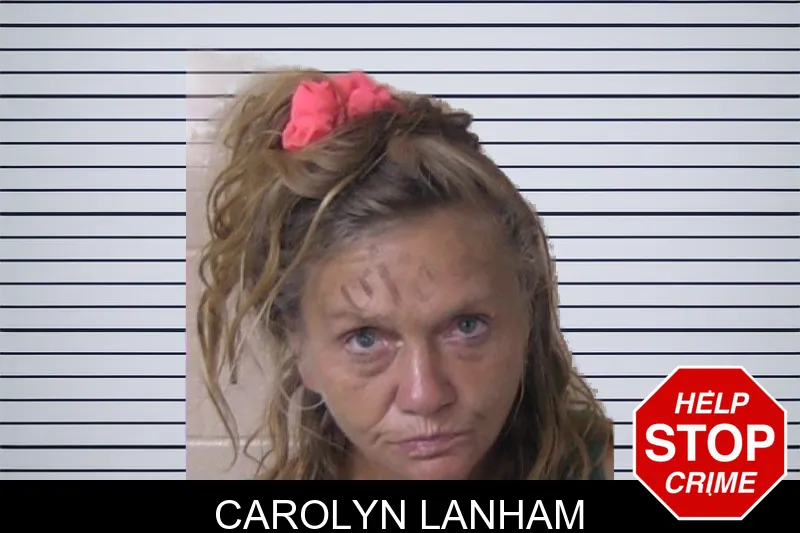 Carolyn Lanham mugshot