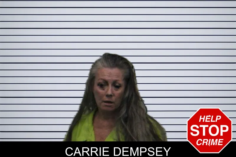 Carrie Dempsey mugshot