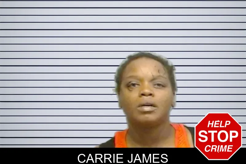 Carrie James mugshot – Fulton County , Georgia Carrie James mugshot