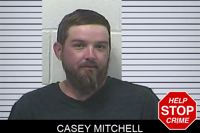 Casey Mitchell mugshot