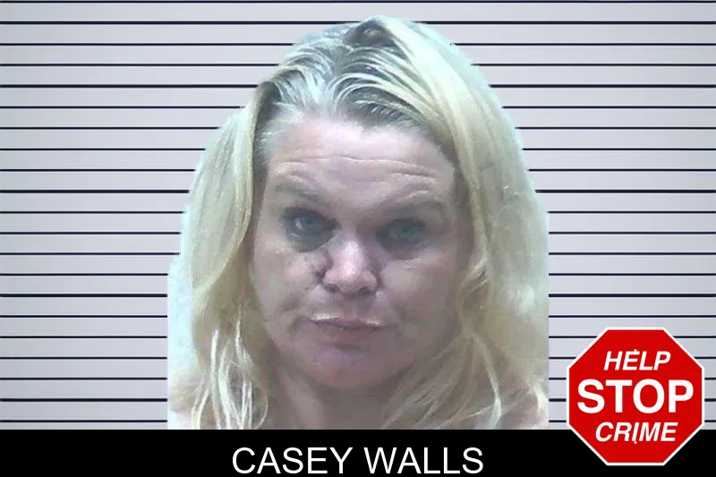Casey Walls mugshot