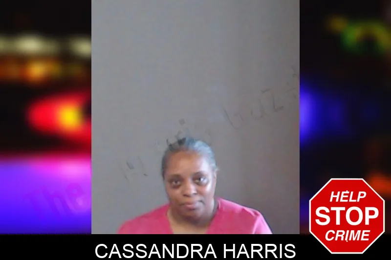 Cassandra Harris mugshot