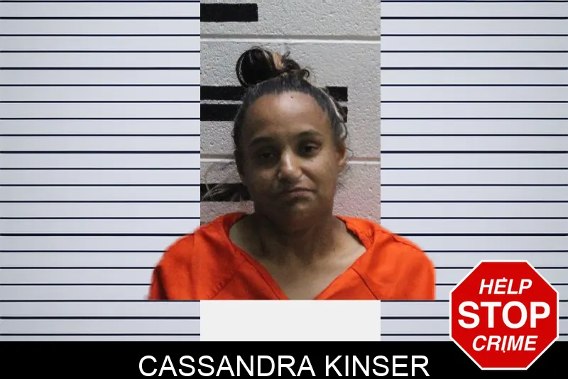 Cassandra Kinser mugshot – Murray County , Georgia Cassandra Kinser mugshot