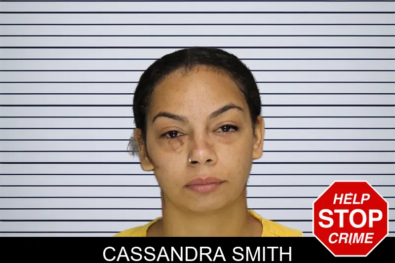 Cassandra Smith mugshot – Cobb County , Georgia Cassandra Smith mugshot