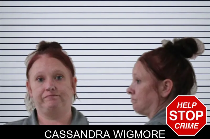 Cassandra Wigmore mugshot – Houston County , Georgia Cassandra Wigmore mugshot
