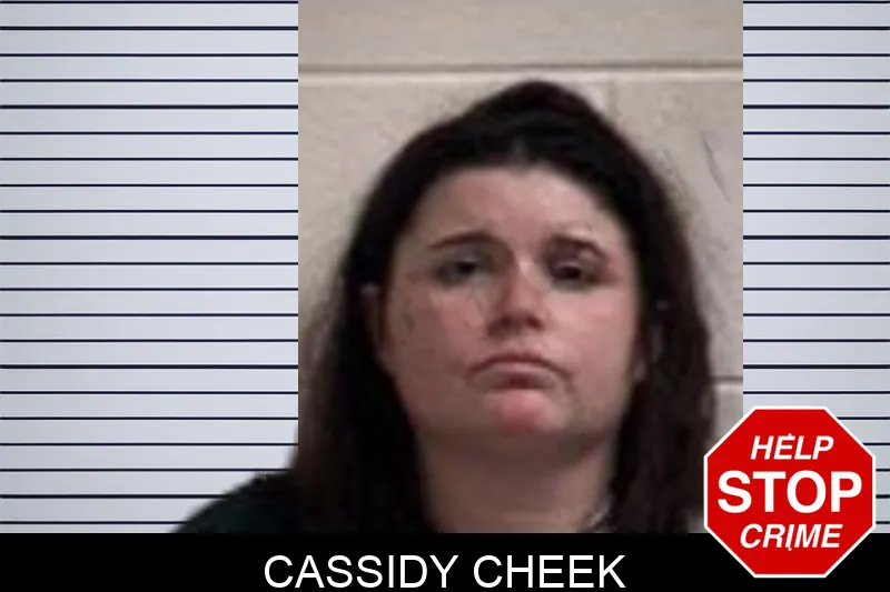 Cassidy Cheek mugshot – Henry County , Georgia Cassidy Cheek mugshot