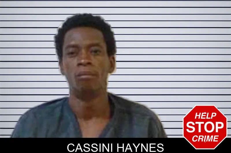 Cassini Haynes mugshot