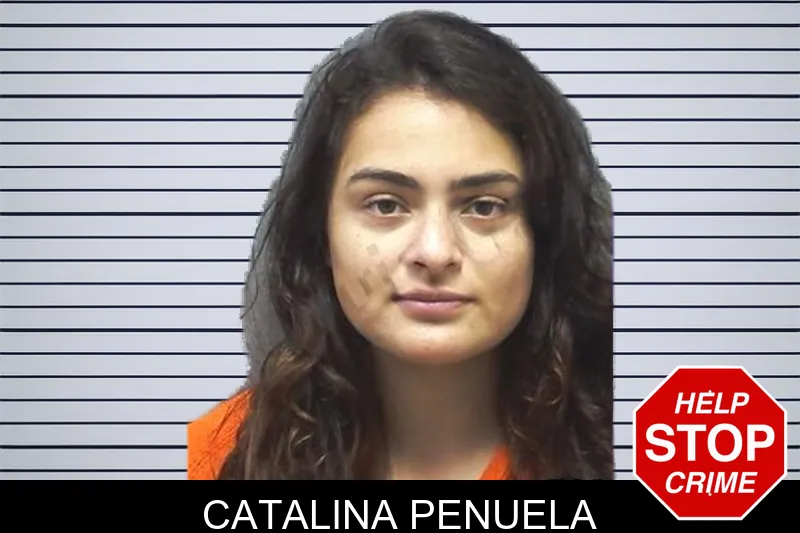 Catalina Penuela mugshot – Cherokee County , Georgia Catalina Penuela mugshot