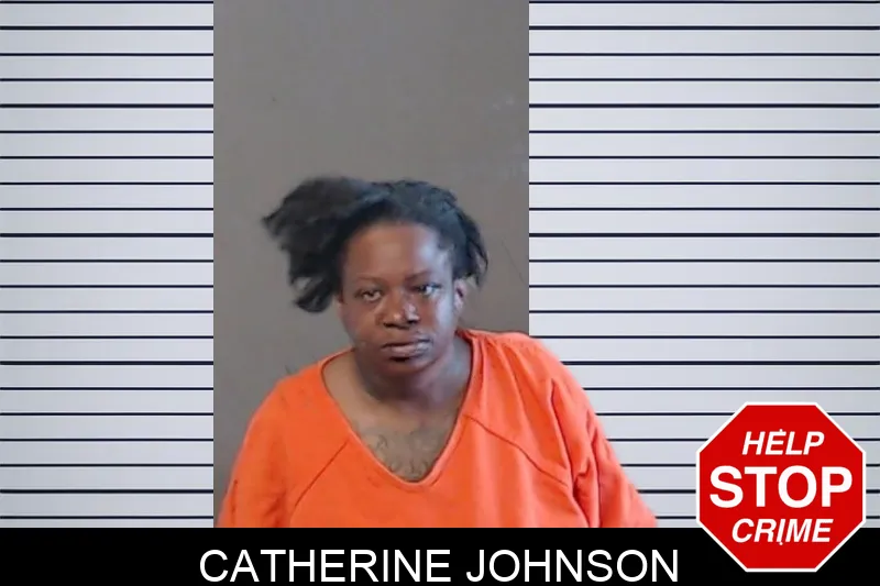 Catherine Johnson mugshot