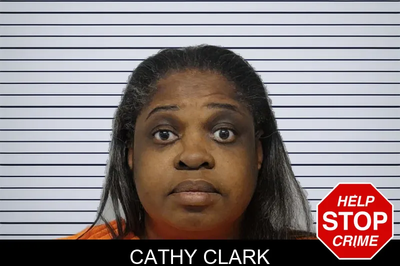 Cathy Clark mugshot