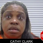 Cathy Clark mugshot
